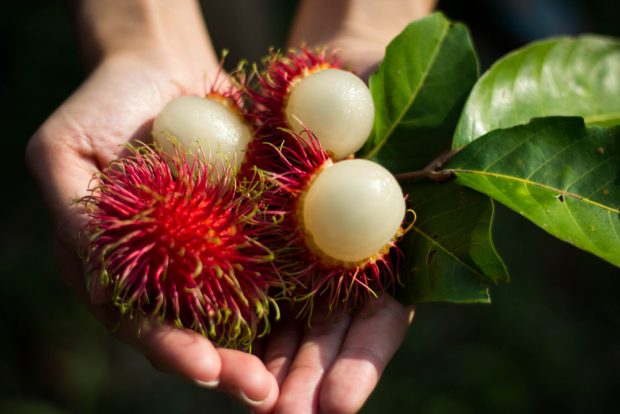 Ce este Rambutan. Cum se consumă și ce beneficii are