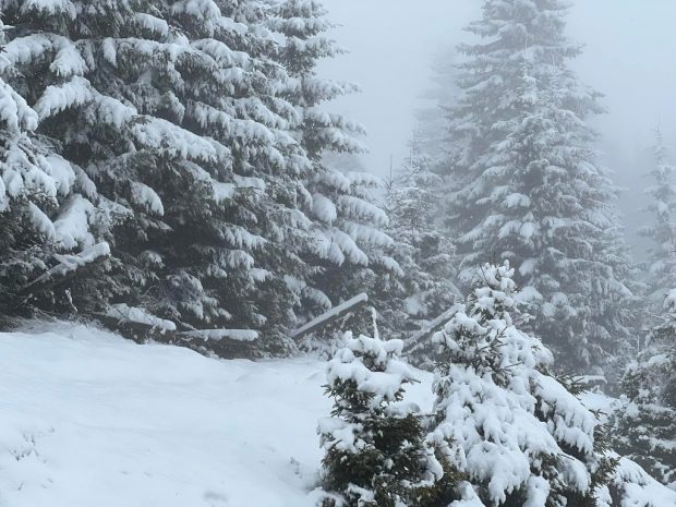 Cod galben de viscol în zona de munte din patru județe, în următoarele ore. Rafale de peste 100 km/h