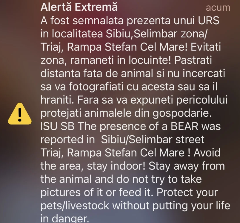 Un urs a fost filmat în timp ce alerga pe străzile din Sibiu. A fost emis mesaj Ro-Alert, iar animalul este căutat de autorități | VIDEO