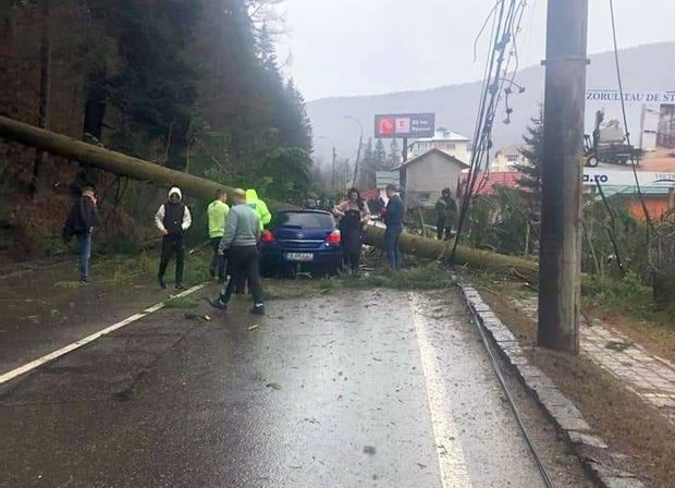 DN 1, blocat în staţiunea Azuga, după ce un copac a căzut peste o maşină aflată în mers