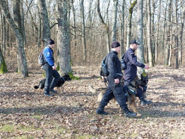 Mobilizare de forțe în Caraș Severin, în căutarea unui tânăr de 24 de ani, dispărut de trei zile