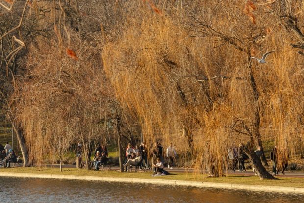 Temperaturi de până la 19 grade în București, la început de februarie. Prognoza anunțată de meteorologi