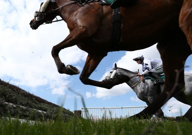 Cursa anuală de cai Grand National din Marea Britanie, amânată din cauza protestelor pentru drepturile animalelor