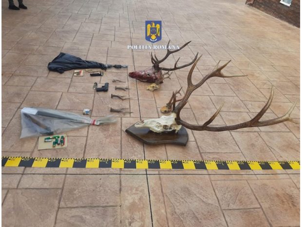 Peste cinci tone de carne de vânat și 197 de trofee, confiscate de la braconieri. 566 de persoane sunt cercetate