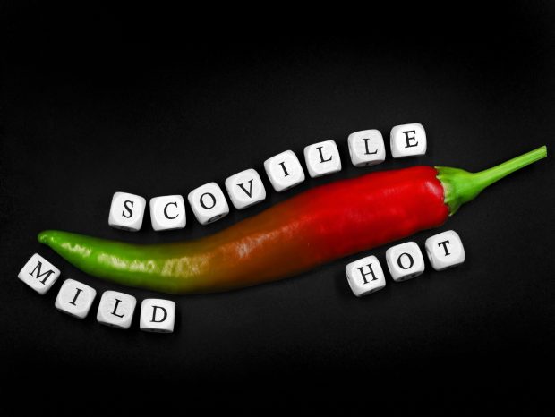 Ce este Scara Scoville și ce măsoară aceasta