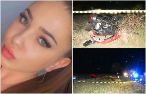 Alexia a murit în noaptea în care împlinea 19 ani, la volanul mașinii primite cadou de la părinți, pe E85, în Buzău