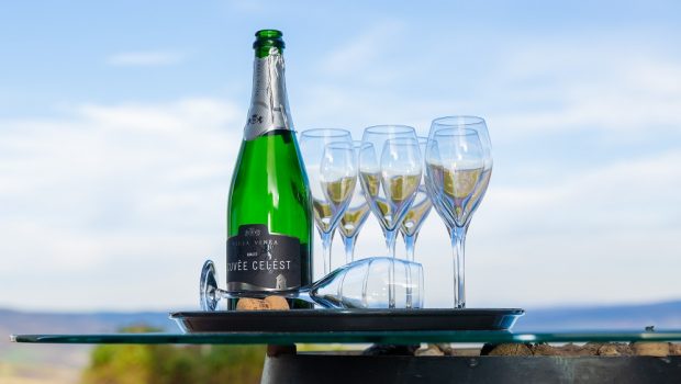 Recomandări de vinuri Villa Vinèa pentru masa de Paște
