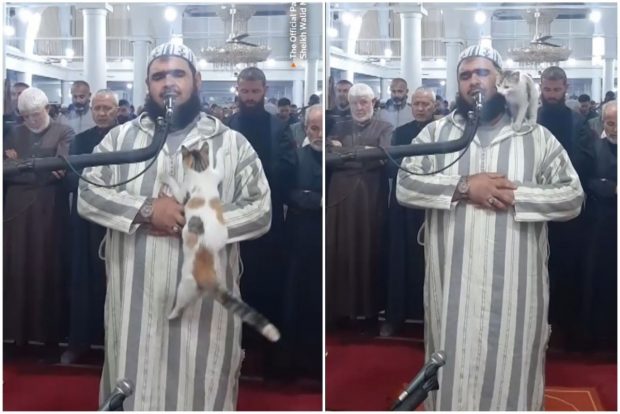 O pisică a sărit pe un imam, în timp ce acesta făcea rugăciunea de Ramadan