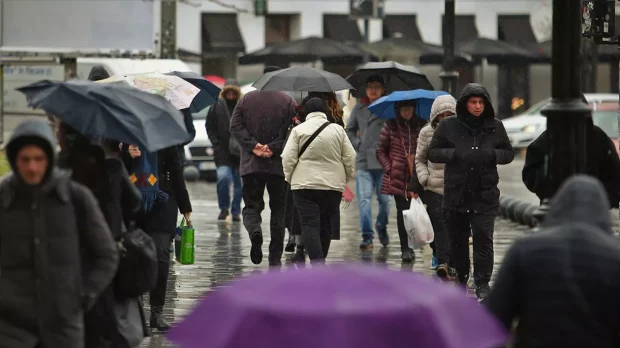 Alertă meteo pentru București și mai multe județe! O oră de vijelii, anunță meteorologii. Mai mulți copaci, doborâți de vânt