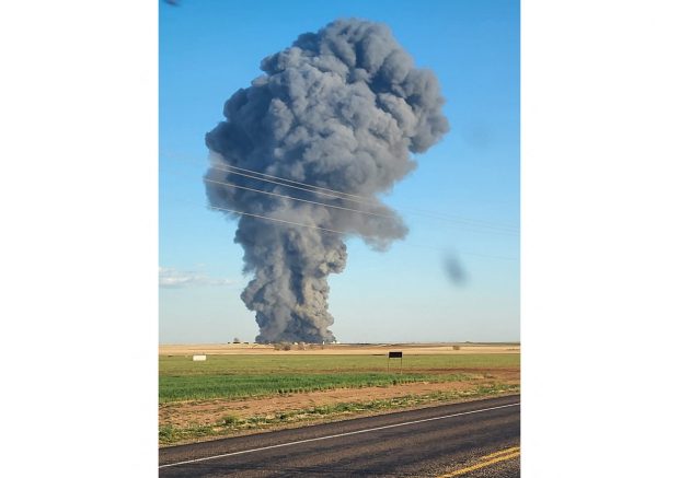 Incendiu de proporții la o fermă din Texas. Peste 18.000 de vaci au murit în cel mai grav incident de acest fel din SUA