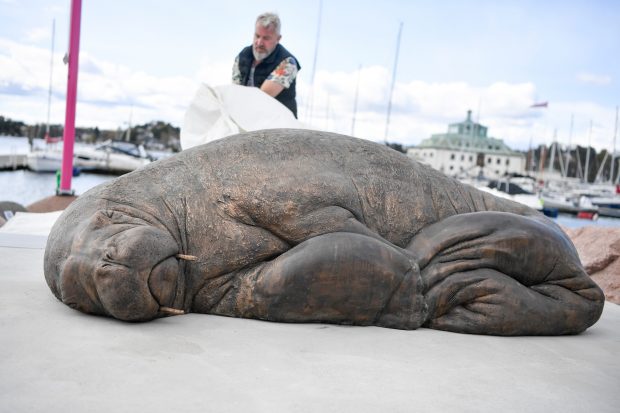 O statuie a morsei Freya, care devenise celebră în Norvegia înainte să fie eutanasiată, a fost dezvelită la Oslo