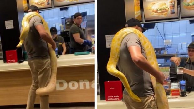 Imagini cu un bărbat care s-a dus la un fast-food din Tg. Mureș cu un piton uriaș înfășurat în jurul gâtului. Reacția poliției