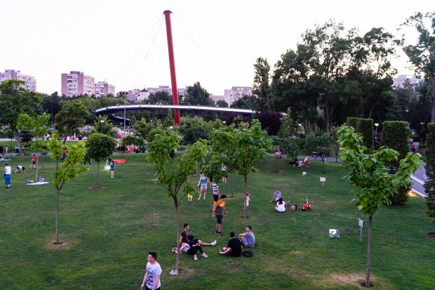 Bucureștenismul suprem al lui Cosașu: să credem că, și dacă nu suntem de acord, putem regla disputa la o bere, la umbră
