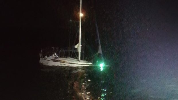 Trei orci au atacat un vas elvețian și l-au scufundat, în largul coastelor Gibraltarului. Echipajul a fost salvat de Garda de Costă