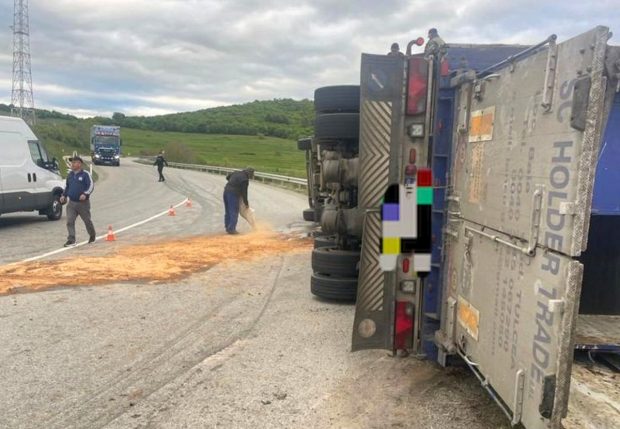 Un autocamion care transporta oi s-a răsturnat, în Bistrița Năsăud. Zeci de animale au murit