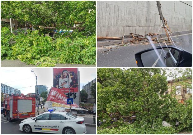 O persoană rănită de un copac și mai multe pagube în București, după codul galben de vânt