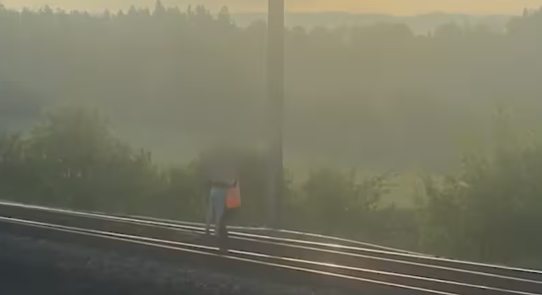 Mecanicul de tren a oprit garnitura, după ce a văzut un copil în pijama pe șine, l-a luat în brațe și l-a predat în siguranță poliției, în Elveția