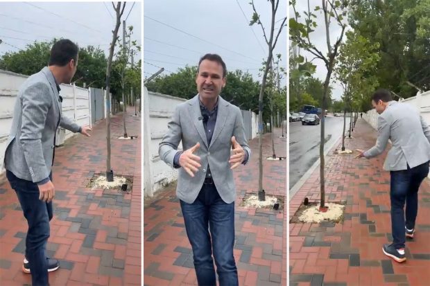 Robert Negoiță, la ora 9, live pe Facebook: „Au pus soluție la pomi. Mâini criminale distrug munca noastră!” Două ore mai târziu: „Era îngrășământ”