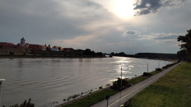 „A început vara și stăm baricadați în casă”. Invazie de țânțari la Osijek, în Croația, autoritățile  declară dezastru natural