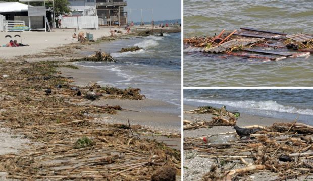 La Odesa, Marea Neagră a devenit „groapă de gunoi și cimitir de animale”, după distrugerea barajului de la Nova Kahovka