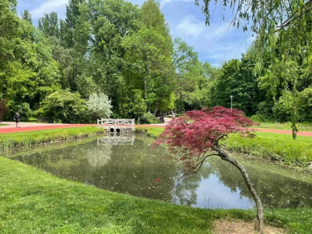 Doi tineri au fost înjunghiați în Grădina Botanică din Craiova