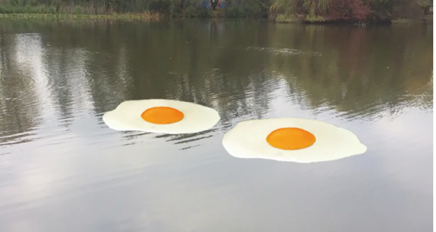 Cel mai inedit protest climatic, semnat de un artist german. Ce simbolizează