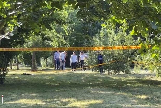 Adolescentul care a înjunghiat doi tineri în Grădina Botanică din Craiova era elev la liceul militar. Ce spun reprezentanții școlii