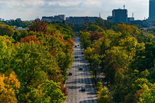 LUPTA PENTRU SPAȚIUL VERDE. Ce se întâmplă în procesele în care o asociație a cerut desființarea documentului care apără zonele protejate din București. Care sunt cele 98 de zone?