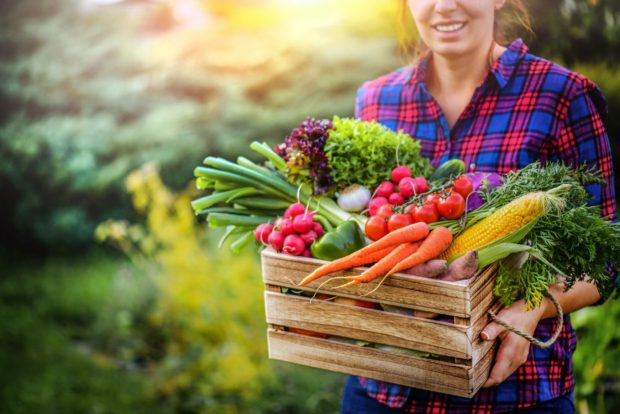 Fructele și legumele lunii Iulie. Ce fructe și legume se pot consuma în luna iulie