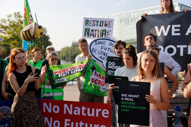 Legea pentru refacerea naturii, adoptată la limită în Parlamentul UE, într-o versiune diluată, pe fondul protestelor pro și contra