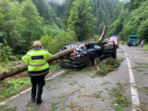 Furtună violentă pe Transalpina: o femeie a murit, după ce un copac a căzut peste mașina ei. Alte 14 vehicule, blocate