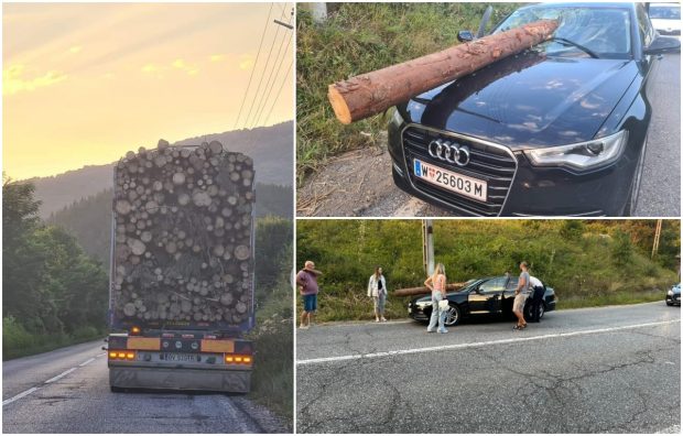 Camionul din care a zburat un buștean și a intrat prin parbrizul unui autoturism era supraîncărcat și a lovit poarta de gabarit a unui pod feroviar