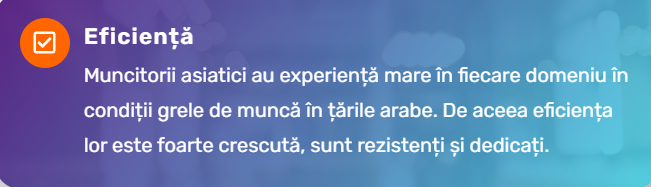Anunțurile agențiilor care aduc muncitori asiatici în România trădează riscul de exploatare a lor în țară: „dispuși la ore suplimentare și efort fizic prelungit”