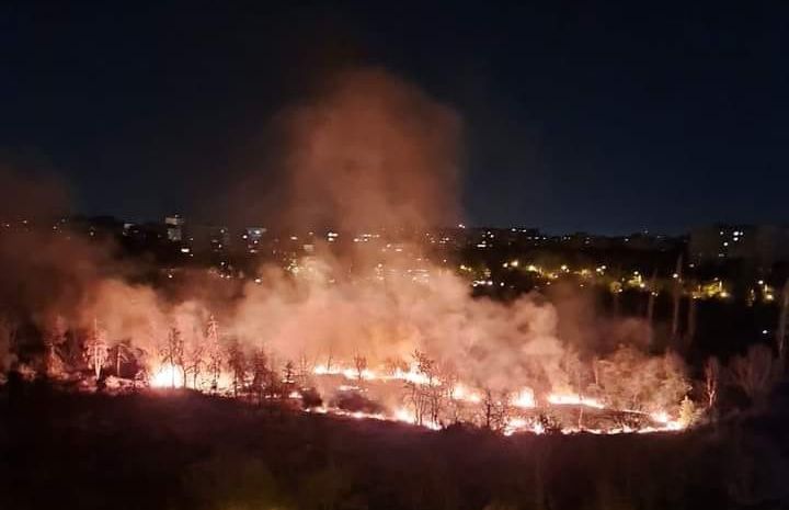 Ισχυρή φωτιά στο πάρκο IOR στο Βουκουρέστι.  Έκαψαν 4.000 τετραγωνικά μέτρα βλάστησης