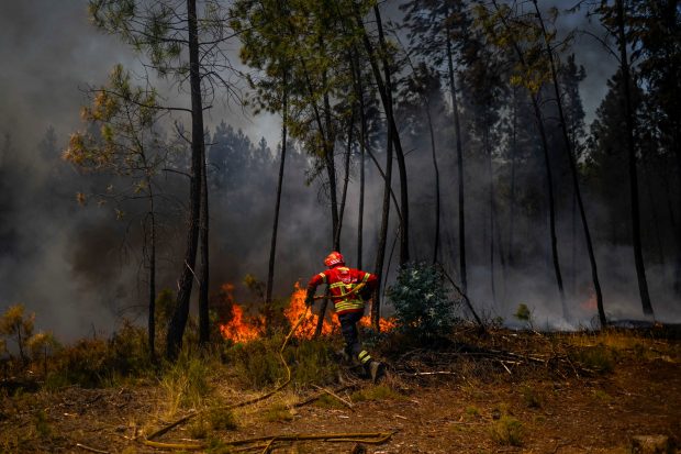 Incendii masive de vegetație în Portugalia, în mijlocul unui nou val de caniculă. Peste 1.400 de oameni au fost evacuați