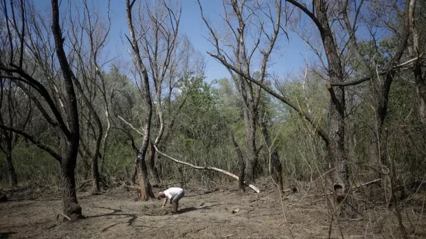 Căutări ale Armatei pentru o a treia dronă, tot în zona satului Plauru, în urma unor informații ale autorităților locale. „Forțele MApN rămân în alertă”