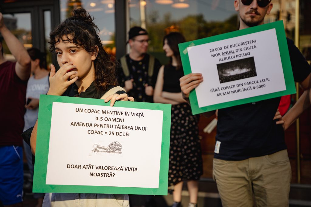 aluzie la amenda foarte mica pentru defrisare ilegala 100 de lei sau 25 de lei daca este platita in 15 zile