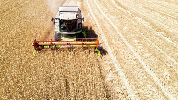 Prețul cerealelor a explodat, din cauza războiului din Iran: criza fertilizatorilor le va scumpi și mai mult