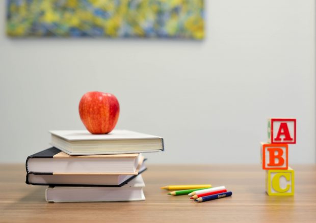 eJobs: Cât câștigă angajații din sistemul privat de învățământ: între 3.000 și 4.500 de lei pentru o educatoare și până la 9.000 de lei pentru un profesor