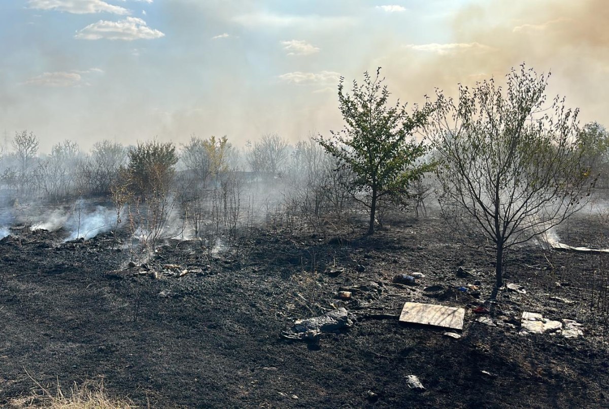 Incendii De Vegetație Lângă București, 350.000 Mp Afectați. ISU: „Focul S-a Extins Din Cauza Vântului” Incendii De Vegetație Lângă București, 350.000 Mp Afectați. ISU: „Focul S-a Extins Din Cauza Vântului”