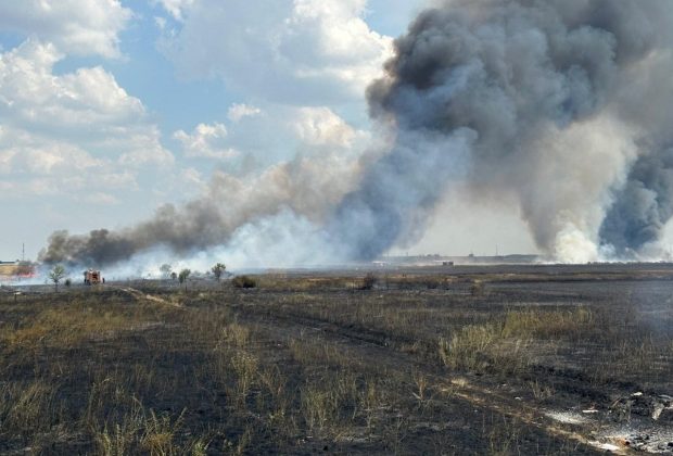 Incendiu de vegetație lângă București. ISU: „A fost extins din cauza vântului”