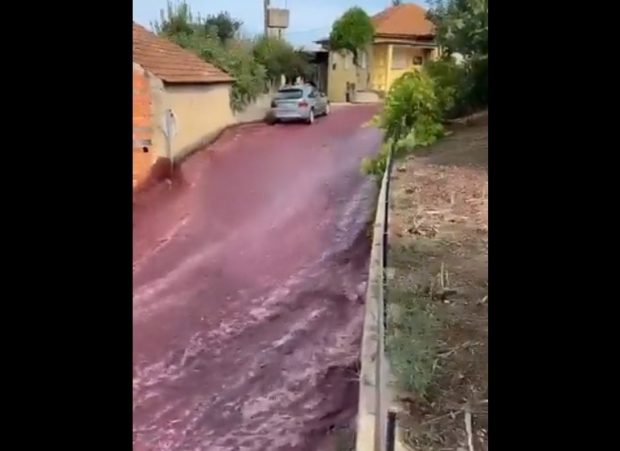 Străzile unui sat din Portugalia au fost inundate de un torent de vin roșu. Care a fost explicația
