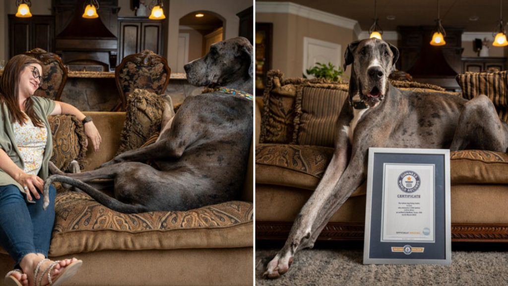 zeus obit split imagetcm25 758340 1