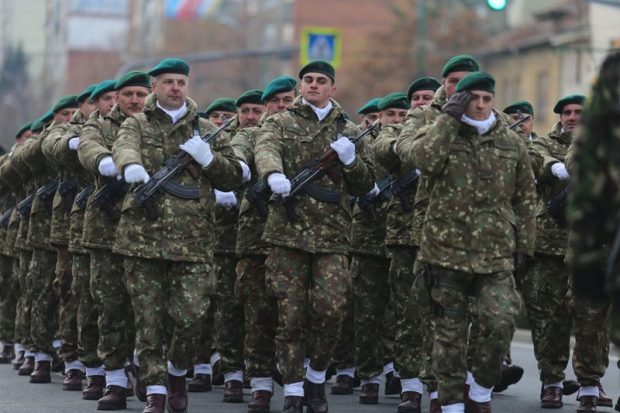 Ziua Armatei Române. Ceremonii la București, în țară și în străinătate