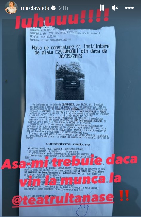 mirela vaida amendata 1