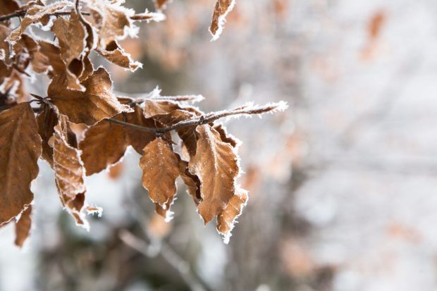 Minus 10 grade Celsius, joi dimineață, la Miercurea-Ciuc. Anunțul meteorologilor pentru următoarele zile