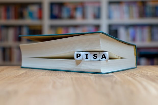 Ce sunt testele Pisa. Modele de teste Pisa