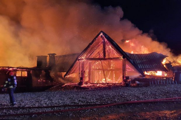 România fără autorizație ucide. Câteva cazuri recente ne arată iarăși cum