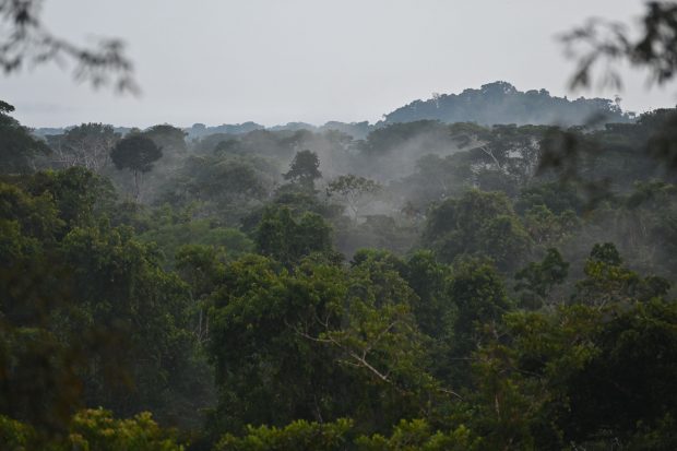 Cele mai vechi oraşe amazoniene, construite acum 2.500 de ani, descoperite cu ajutorul cartografierii cu laser. „Oamenii din Amazonia au construit cu noroi”