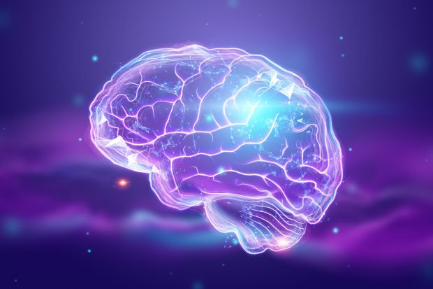 Cursuri de Brain Mapping – Oportunitate pentru dezvoltarea carierei tale